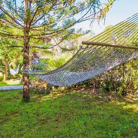 Tatil Evi Luxury Kounopetra